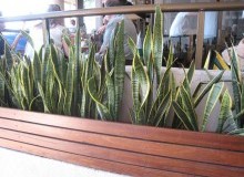 Kwikfynd Indoor Planting
taharawest