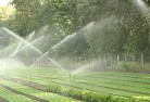 Tahara Westlandscaping-water-management-and-drainage-17.jpg; ?>