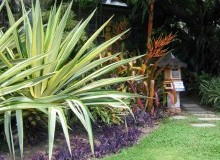 Kwikfynd Tropical Landscaping
taharawest