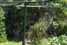 Tahara Westvegetable-gardens-13.jpg; ?>