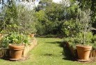 Tahara Westvegetable-gardens-3.jpg; ?>